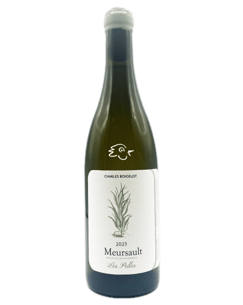 Charles Boigelot - Meursault Les Pelles 2023 - Avintures