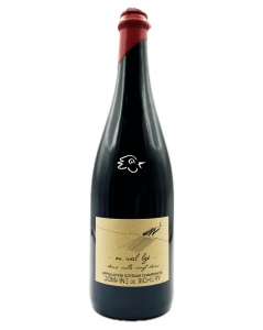 Domaine de Bochery - Coteaux Champenois En Val Ligé 2022 - Avintures