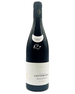 Domaine Cottenceau - Bourgogne Pinot Noir 2022 - Avintures