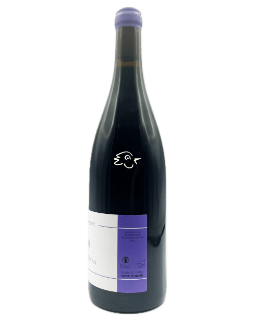 Clément Dumont - Syrah Les Grandes Pierres 2023 - Avintures