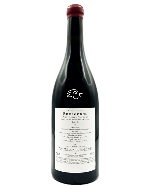 La Pierre Ronde - Bourgogne Pinot Noir Amphore 2022 - Avintures