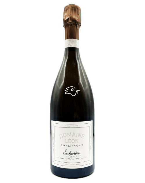 Domaine Léon - Pinot Noir Enchevêtrer R21 - Avintures