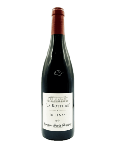 Domaine David Beaupere - Julienas La Bottière 2022 Magnum - Avintures