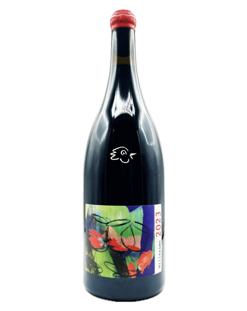 Domaine David Beaupere - Beaujolais Villages 2023 Magnum - Avintures