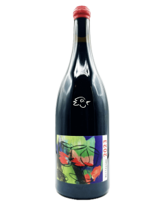 Domaine David Beaupere - Beaujolais Villages 2022 Magnum - Avintures