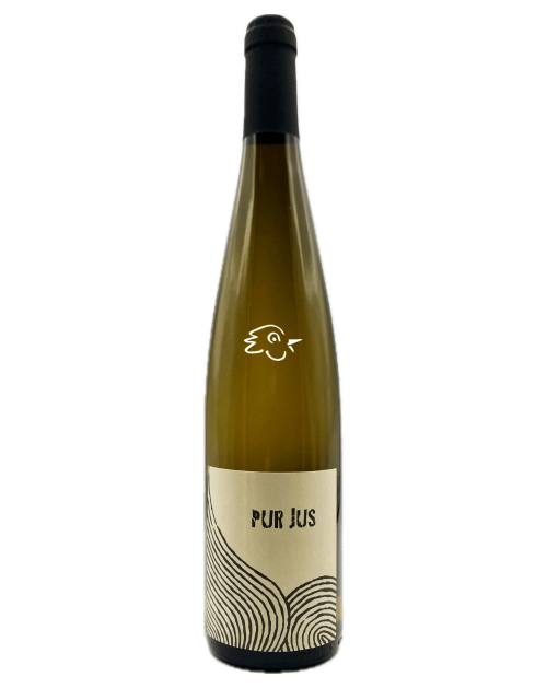 Léo Dirringer - Pur Jus Blanc 2023 - Avintures