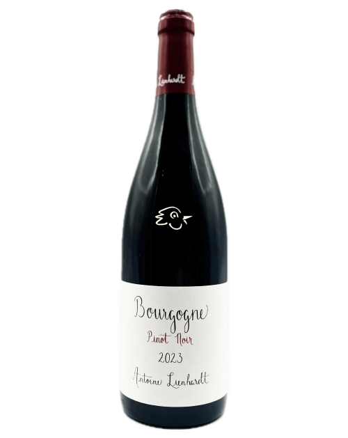 Antoine Lienhardt - Bourgogne Pinot Noir 2023 - Avintures