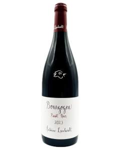 Antoine Lienhardt - Bourgogne Pinot Noir 2023 - Avintures