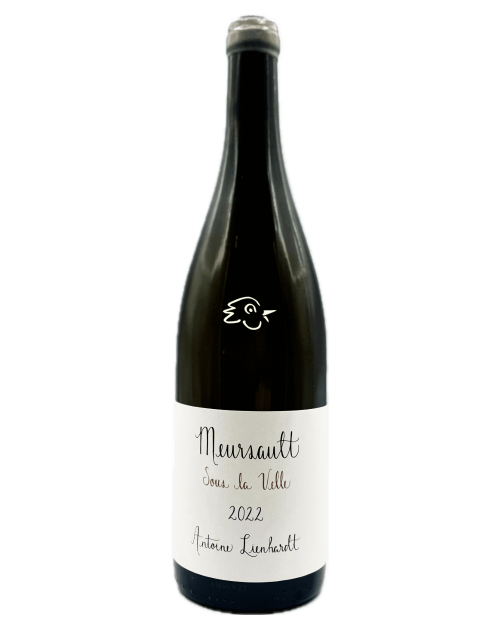 Antoine Lienhardt - Meursault 2022 - Avintures