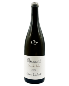 Antoine Lienhardt - Meursault 2022 - Avintures