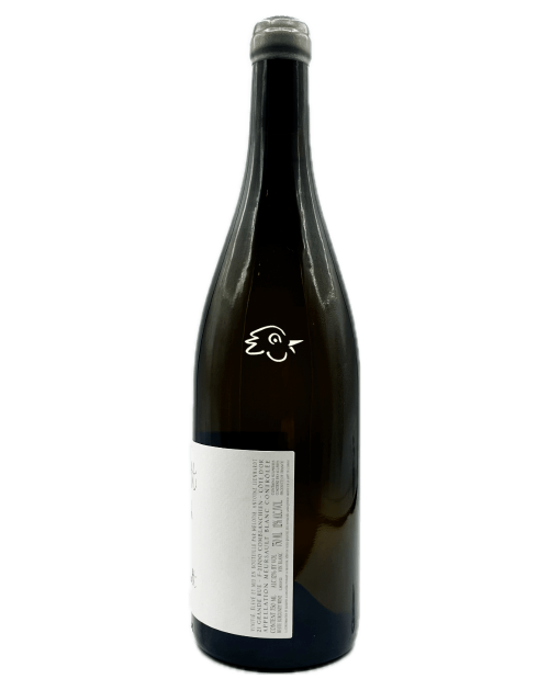 Antoine Lienhardt - Meursault 2022 - Avintures