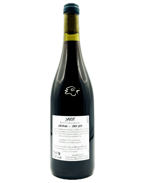 Corentin Houillon - Pinot Noir Arcane 2023 - Avintures