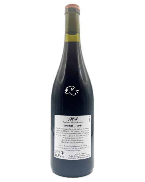 Corentin Houillon - Gamay de Chautagne Vieux Foug 2023 - Avintures