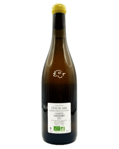 Damien Guadagnolo - Chardonnay - Gravière 2023 - Avintures