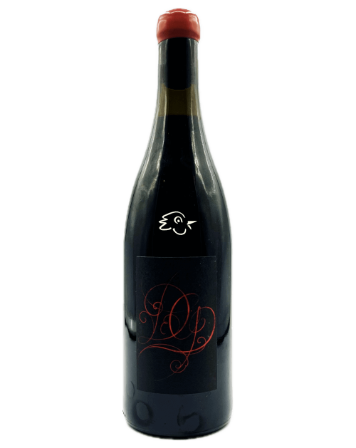 Damien Guadagnolo - Gamay 2023 - Avintures