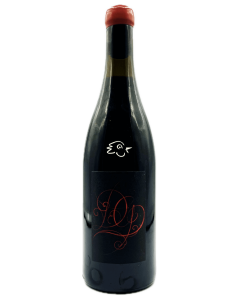 Damien Guadagnolo - Gamay 2023 - Avintures