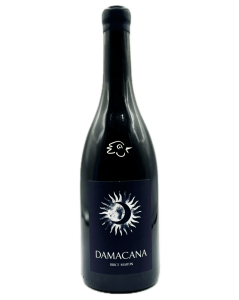 Domaine Brice Martin - Damacana MMXXII - Avintures